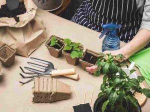 eco-friendly_gardening_tips_indogardening_blog-image