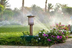 garden_irrigation_systems_explained_indogardening_blog-image