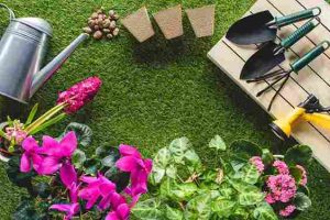 Garden Maintenance Made Easy Today