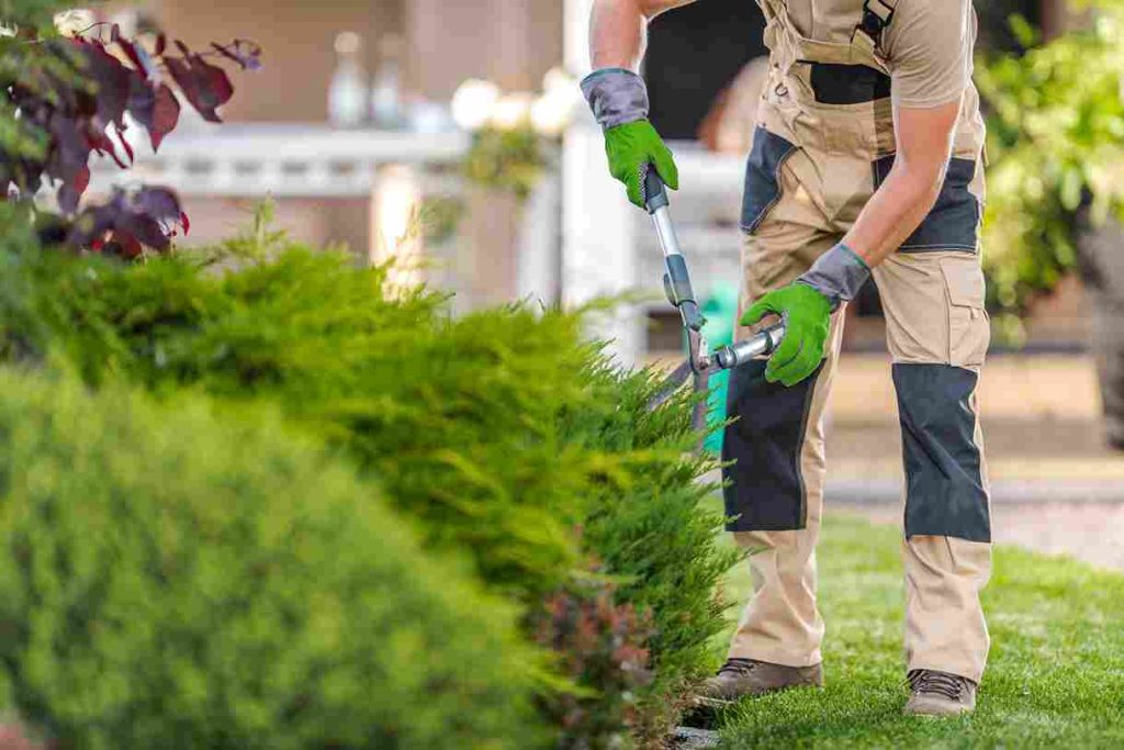 home_garden_maintenance_made_simple_indogardening_blog-image