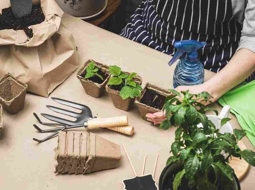 home_gardening_ideas_for_any_space_indogardening_blog-image