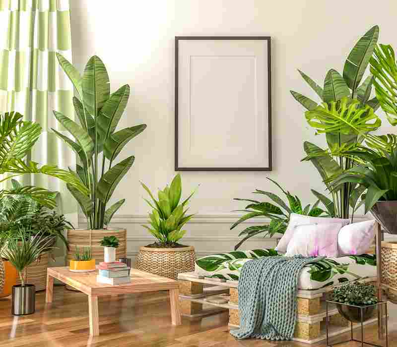 indoor_plants_for_stylish_homes_indogardening_blog-image