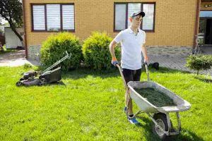 lawn_care_practices_for_healthy_yard_indogardening_blog-image