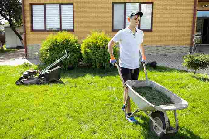 lawn_care_practices_for_healthy_yard_indogardening_blog-image