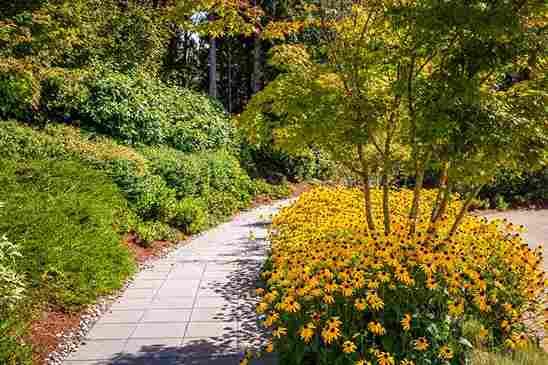 smart_sustainable_landscaping_ideas_indogardening_blog-image