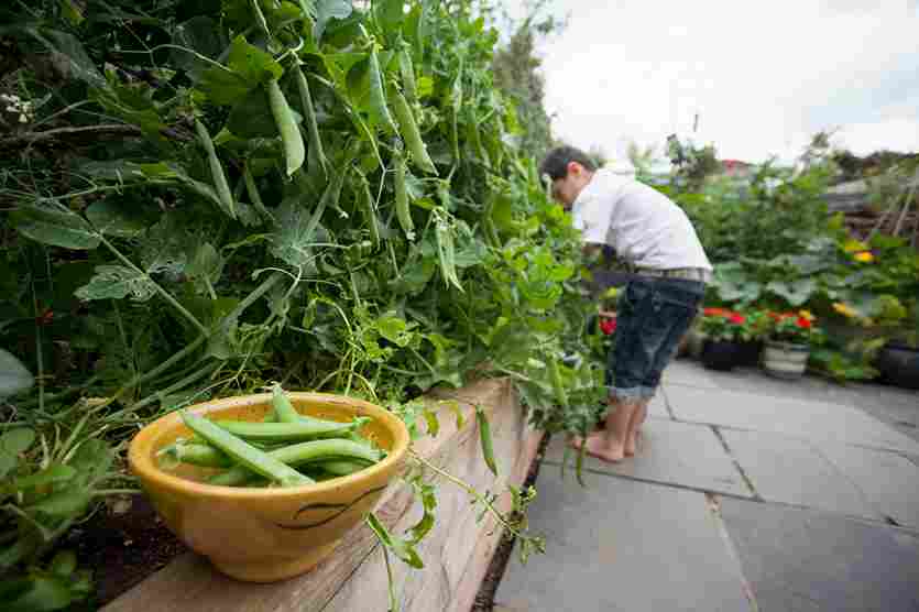 sustainable_gardening_for_eco_yards_indogardening_blog-image