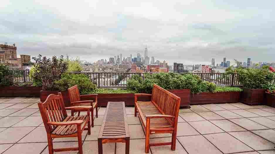 terrace_gardening_for_city_homes_indogardening_blog-image