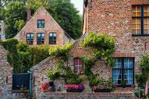 urban_gardening_for_modern_homes_indogardening_blog-image