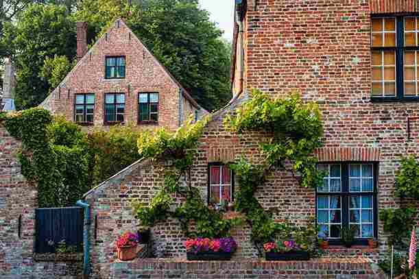 urban_gardening_for_modern_homes_indogardening_blog-image