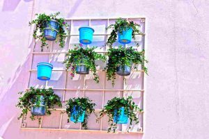 vertical_gardening_solutions_ideas_indogardening_blog-image