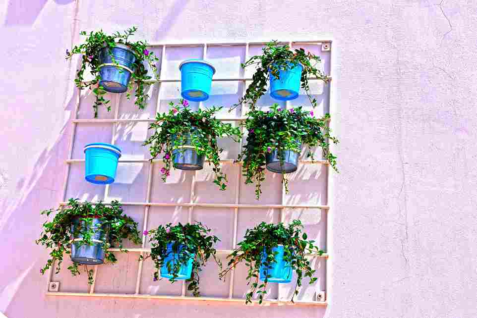 vertical_gardening_solutions_ideas_indogardening_blog-image