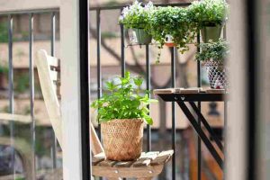 balcony_gardening_design_indogardening_blog-image