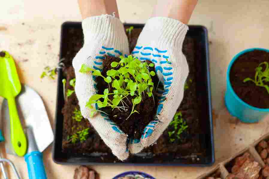 easy_composting_methods_indogardening_blog-image