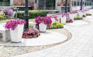 low-maintenance_gardening_hacks_indogardening_blog-image