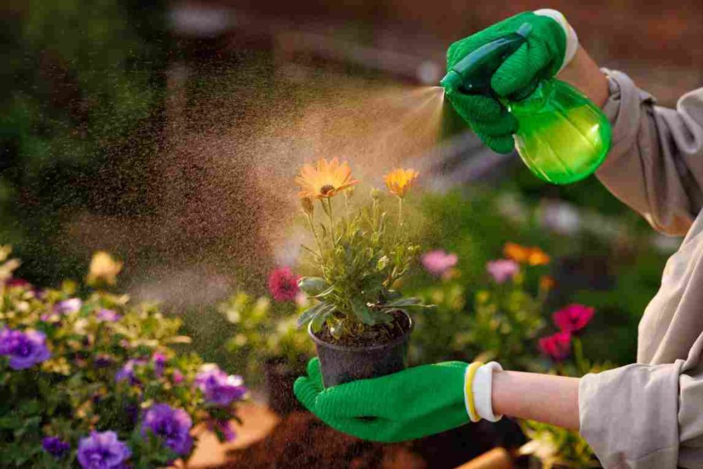 natural_gardening_pest_solutions_indogardening_blog-image