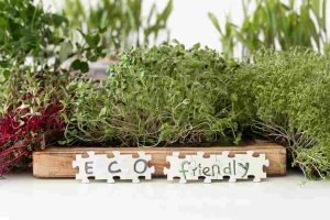sustainable_gardening_at_home_indogardening_blog-image