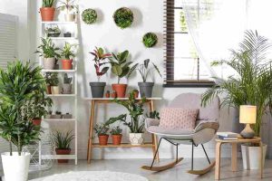 the_best_indoor_plants_guide_indogardening_blog-image