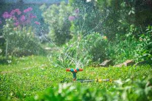 water-saving_gardening_hacks_indogardening_blog-image