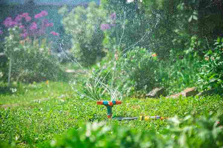 water-saving_gardening_hacks_indogardening_blog-image