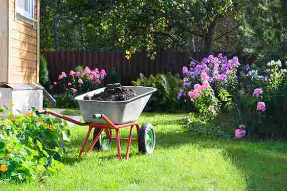 year-round_garden_care_guide_indogardening_blog-image